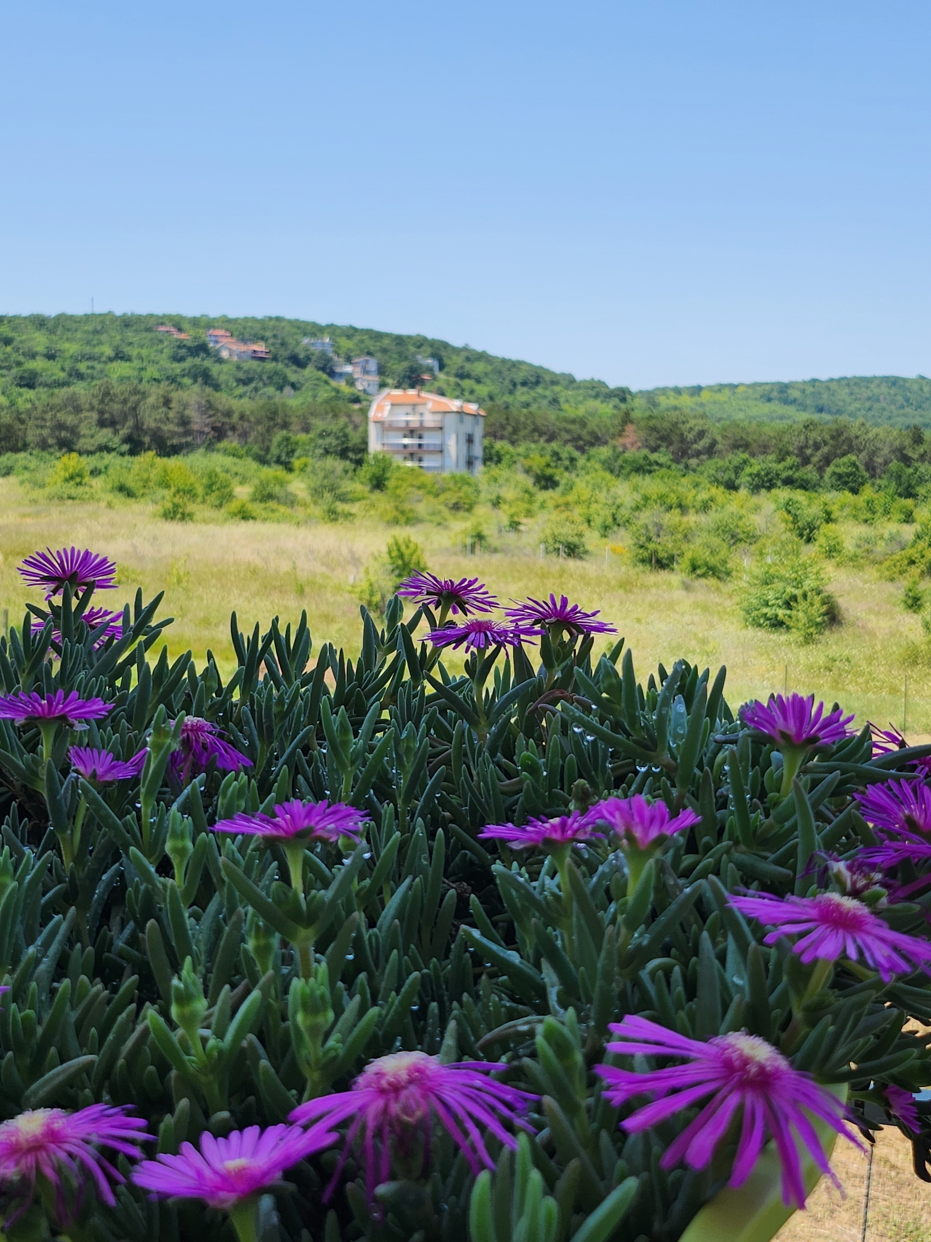 Изглед от къщата - снимка 2